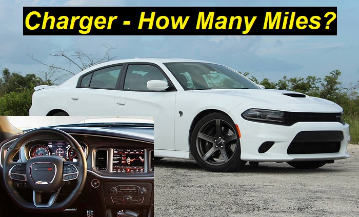 Dodge Charger Longevity